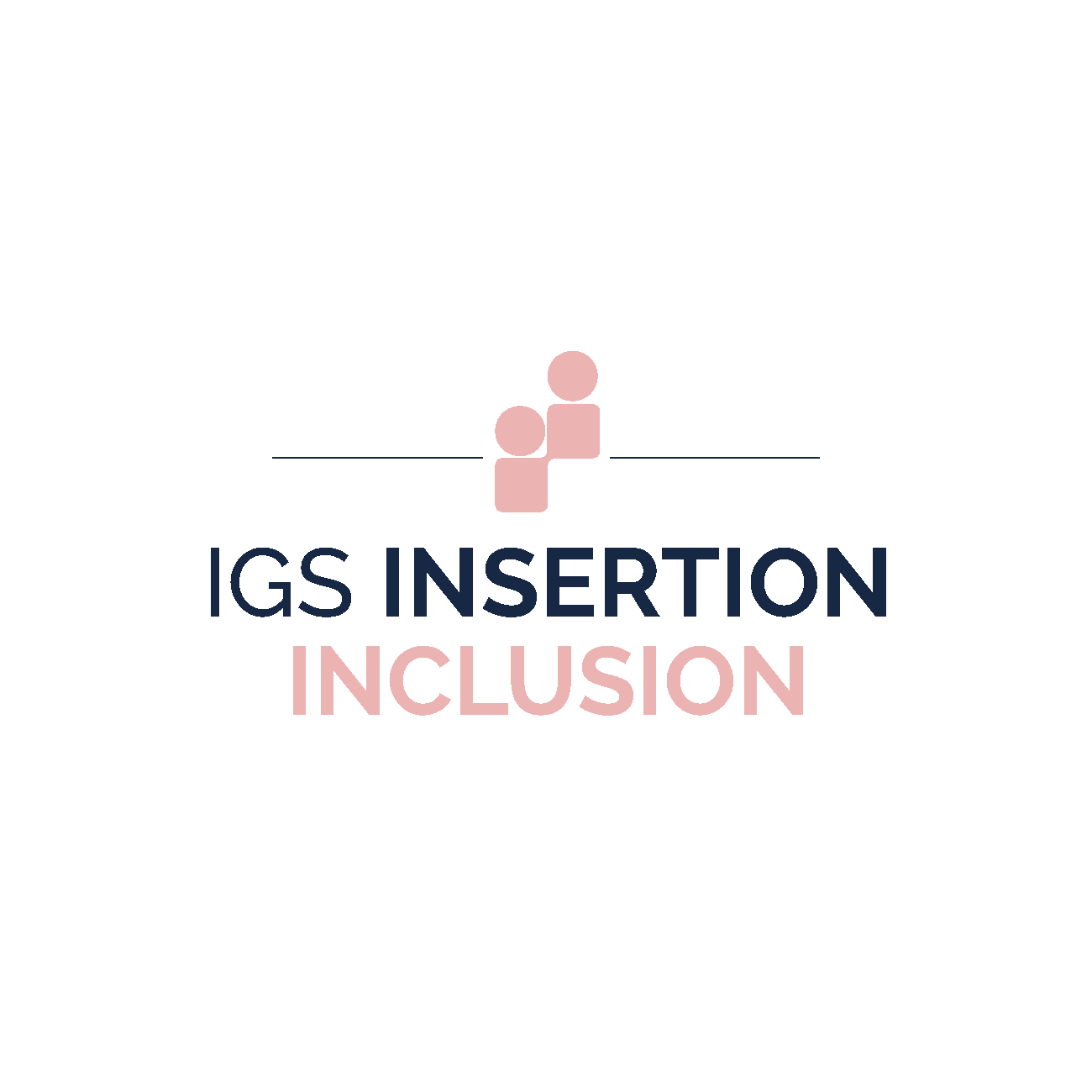 IGS Insertion Inclusion Alumni